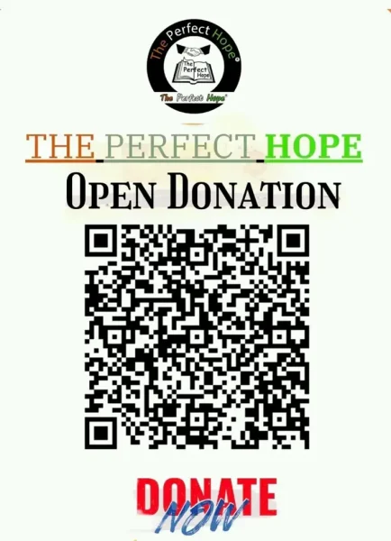 WhatsApp Image 2024-09-04 at 10.23.09 PM